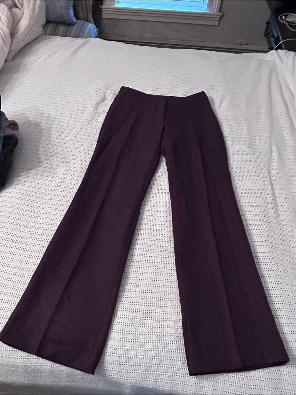 To the Max Plum Wide-Leg Dress Pants